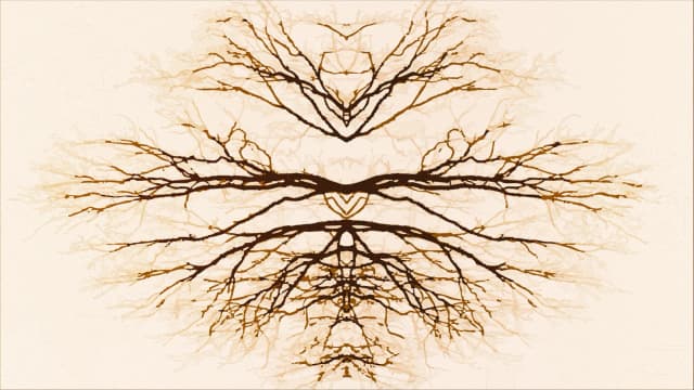 add-trending-audio-music-to-a-reel-or-story