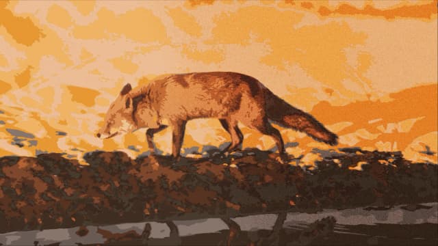 facebook-ads-comment-moderation