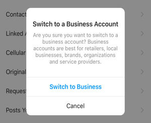 Instagram business account