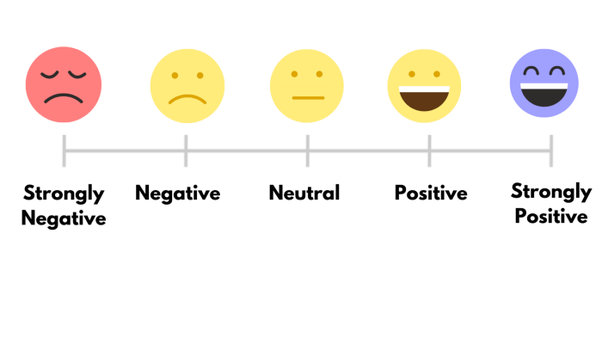 Fine-Grained Sentiment Analysis
