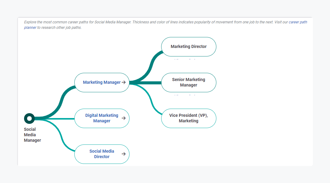 Job Responsibilities